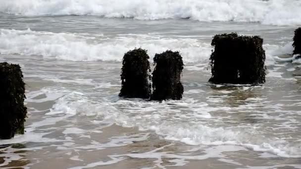 Olas Lavando Sobre Defensas Marinas Madera — Vídeos de Stock