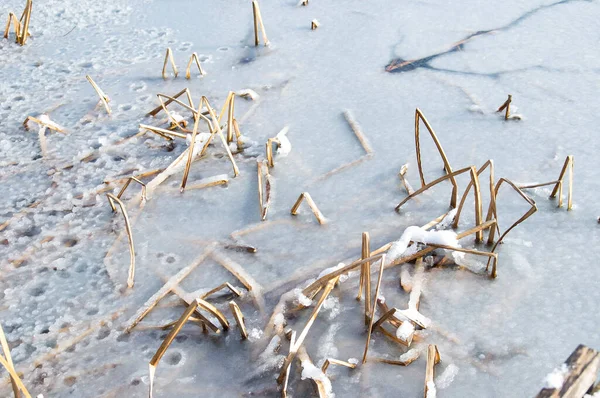 Presa dell'inverno — Foto Stock