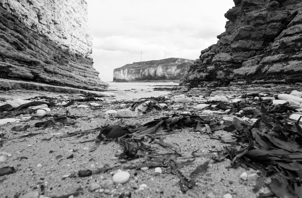 Paysage à marée basse — Photo