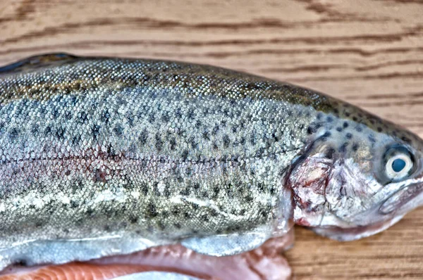 Död Fisk Bakgrund Bild — Stockfoto