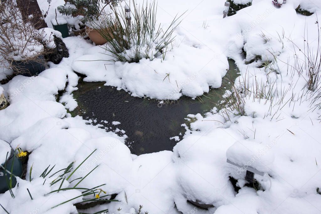 Garden pond in winter