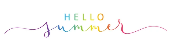 Bannière Vectorielle Calligraphie Pinceau Hello Summer Avec Swash — Image vectorielle