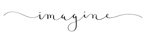 Imagine Bannière Calligraphie Brosse Noire Avec Swash — Image vectorielle