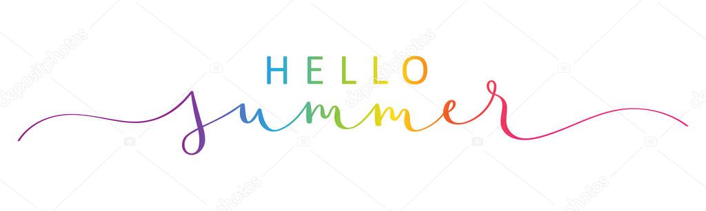 HELLO SUMMER vector brush calligraphy banner with swashes