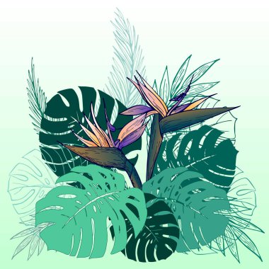 El çizimi strelitzia çiçeği, sarı arka planda canavar yaprakları. Egzotik çiçek. Vektör illüstrasyonu. Kart, davetiye, baskı, poster, afiş için mükemmel.