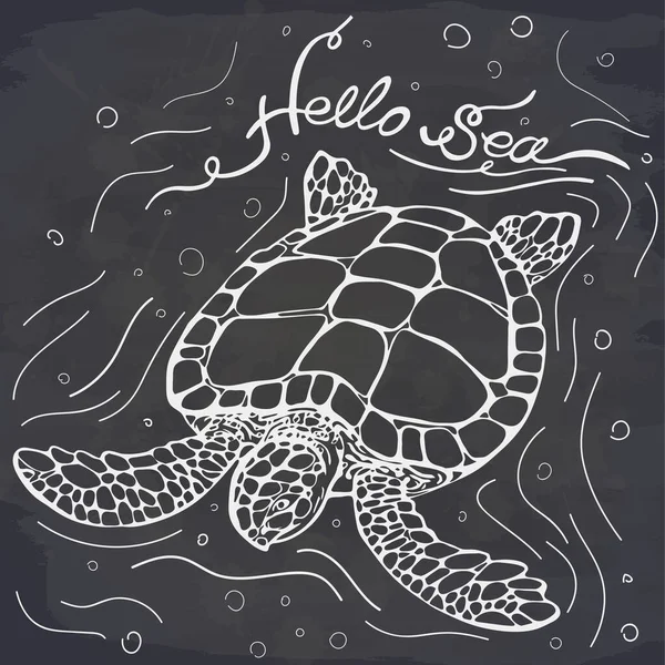 Vektorillustration Der Meeresschildkröte Auf Kreidetafel Hallo Meer Perfekt Für Einladungen — Stockvektor