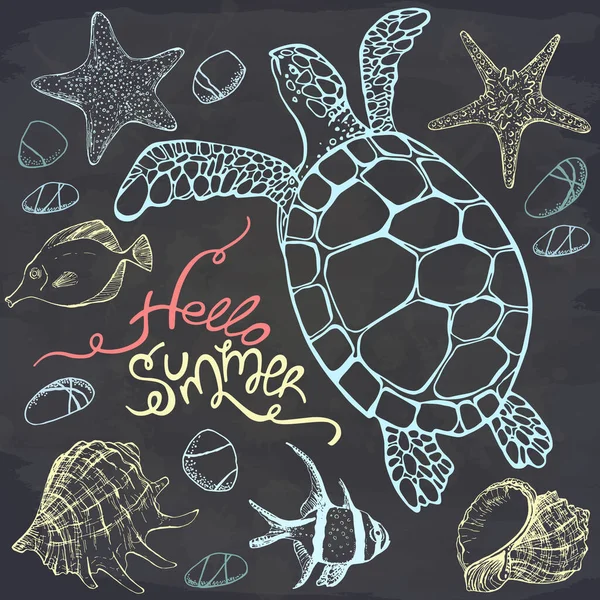Vektorillustration Von Tropischen Fischen Und Meeresschildkröten Auf Kreidetafel Hallo Sommer — Stockvektor