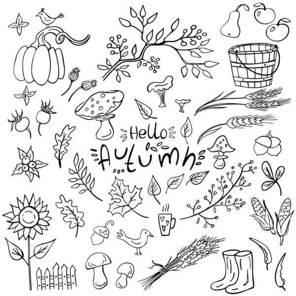 Set Doodle Autumn Elemetns Isolated White Pupkin Sunflower Leaves Ancors — Stock Vector