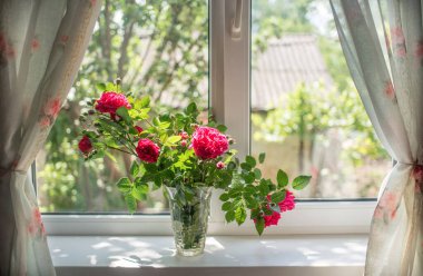    Yazın pencerede kırmızı güller