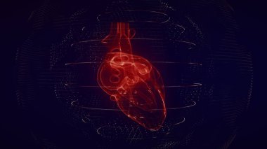 Anatomik olarak doğru kırmızı dijital insan kalbi. Fütürist parçacık kardiyak tomografi 3D tarama. MR geleceği, hastalık tedavisi, sağlık ve tıbbi konsept 4k
