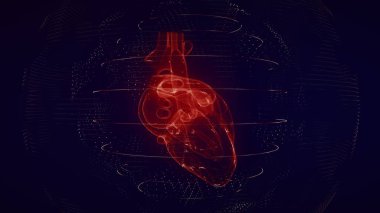 Anatomik olarak doğru kırmızı dijital insan kalbi. Fütürist parçacık kardiyak tomografi 3D tarama. MR geleceği, hastalık tedavisi, sağlık ve tıbbi konsept 4k