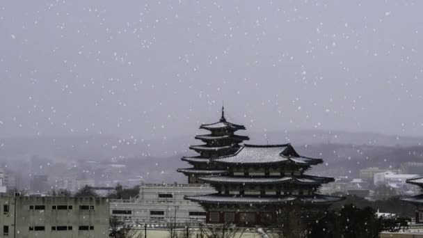 Neve Invernale Del Palazzo Gyeongbokgung Una Delle Attrazioni Turistiche Più — Video Stock