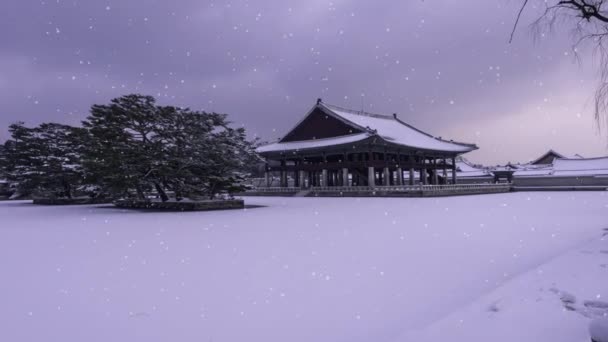 Salju Musim Dingin Istana Gyeongbokgung Salah Satu Tempat Wisata Paling — Stok Video