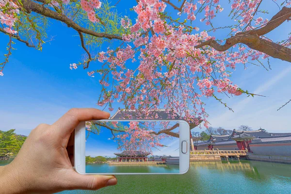 Güney Kore, Seul 'deki Gyeongbokgung Sarayı' nda cep telefonuyla Gyeongbokgung Sarayı 'nın fotoğrafını çekiyor..