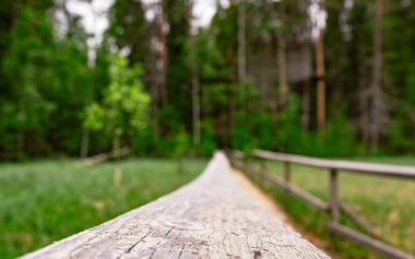 Doğal yeşil bokeh arkaplanının bulanık yüzeyindeki ahşap zemin alanı önemli görsel tasarımları göstermek için kullanılır