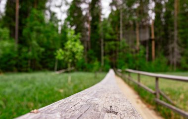 Park arka planında eski ahşap masa var. Ürün yerleştirme ya da ön plandaki masanın üstüne odaklı montaj için. Sabahları güneş ışığı