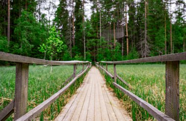 Park arka planında eski ahşap masa var. Ürün yerleştirme ya da ön plandaki masanın üstüne odaklı montaj için. Sabahları güneş ışığı