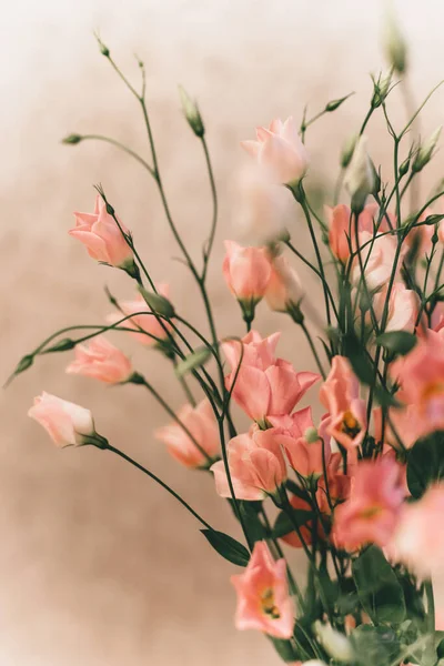 Güzel Eustoma ve Roses çiçekleri, beyaz arka planda beyaz Eustoma. Östomalı minimalist tarzda düğün davetiyesi. Düğün ya da bahar kartı için bir şablon. Anneler günü kartı.