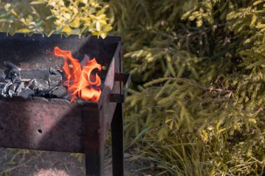  Yakacak güzel odunları olan Brezilyalı. yaz pikniği