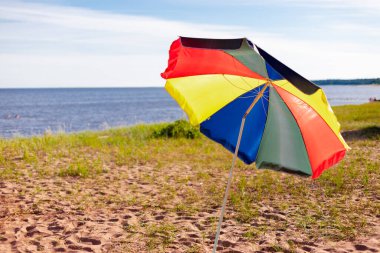  Sahilde renkli şemsiye. Doğa deniz yoluyla seyahat eder.