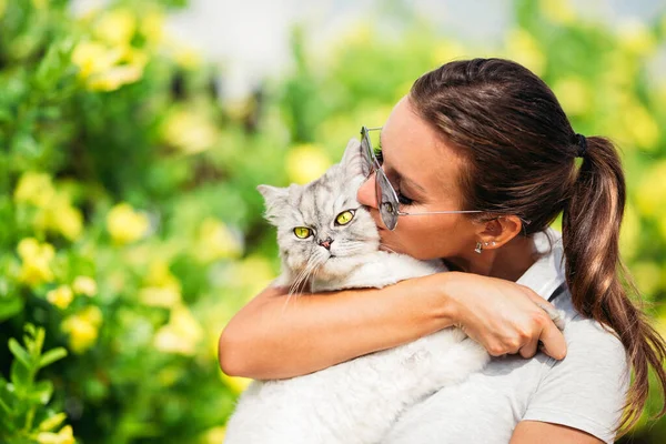 귀여운 아가씨와 아름다운 녹색 눈을 가진 동양인 친칠라 고양이와 키스하는 모습 — 스톡 사진