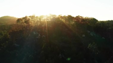 Yaz akşamları vahşi orman dağlarının üzerinde güzel bir günbatımı. Dağın tepesinden güneş ışığına uçuyor.