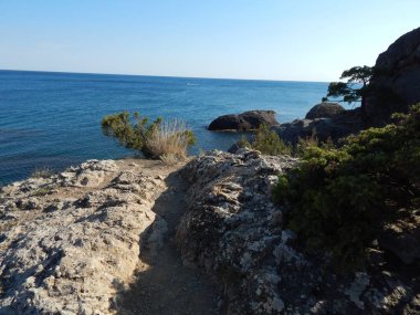 Sahil manzarası, deniz, güneşli gün.