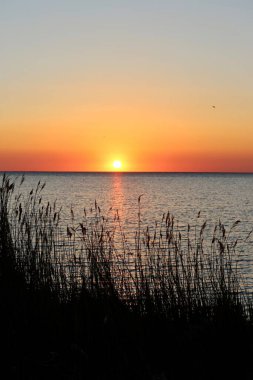 Dantelde ya da bitkilerle dolu nehirde güzel bir gün batımı