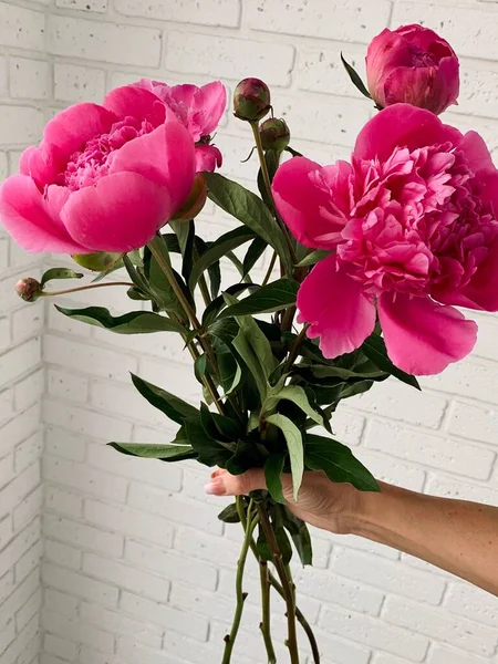 Bouquet Pink Peonies Hand — Stock Photo, Image