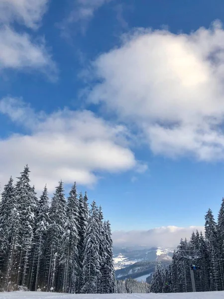 Bosque Invierno Con Nieve Las Montañas —  Fotos de Stock