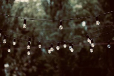 Bitki yaprakları yeşil ve arkaplan olarak ampul dokusu veya duvar kağıdı