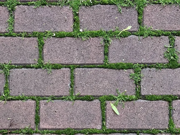 Taş tuğla deseni, yol olarak yeşil çimen ve arka plan olarak zemin olan klasik kırmızı renk.