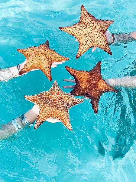 Stars Sea Hands Very Beautiful View Ocean Tropical Blue Water — Stock Photo, Image