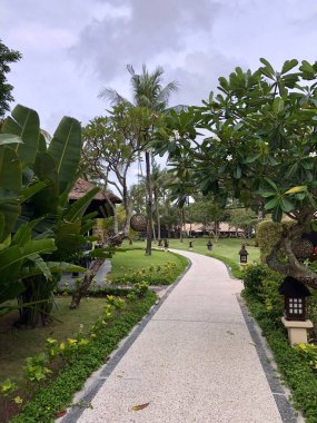 Tropik bir tatil köyünde palmiye ağaçları olan bir yol.