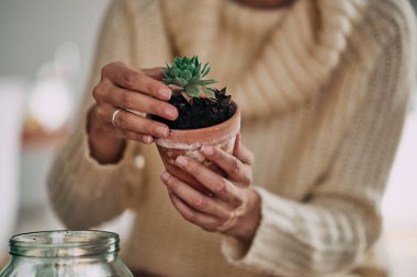 Kaktüs kapalı Bahçe süre tutan kadının el yakın çekim.