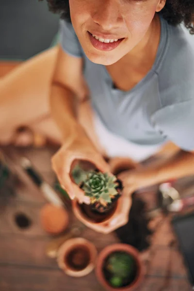 坐在手里的混合种族妇女的顶部视图手持仙人掌 — 图库照片