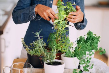 Bahçe güzel karışık ırk kadın.