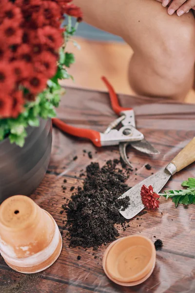 Hermosa Mujer Raza Mixta Jardinería —  Fotos de Stock