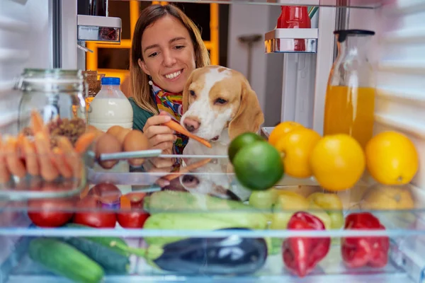Mujer Alimentando Perro Pie Frente Nevera Llena Comestibles Foto Tomada —  Fotos de Stock