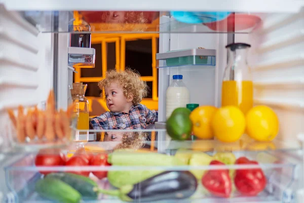 Toddler stealing food from fridge.  Picture taken from the inside of fridge.