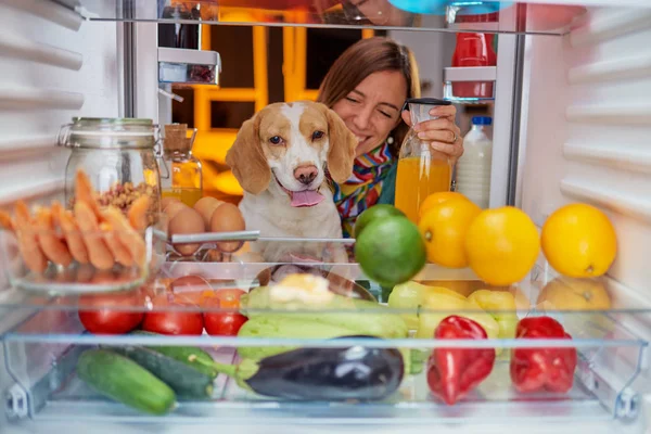 Женщина Собака Перед Холодильником Поздно Ночью Изображение Взято Изнутри Холодильника — стоковое фото