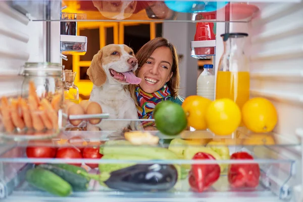 Frau Und Hund Spätabends Vor Dem Kühlschrank Bild Aus Dem — Stockfoto