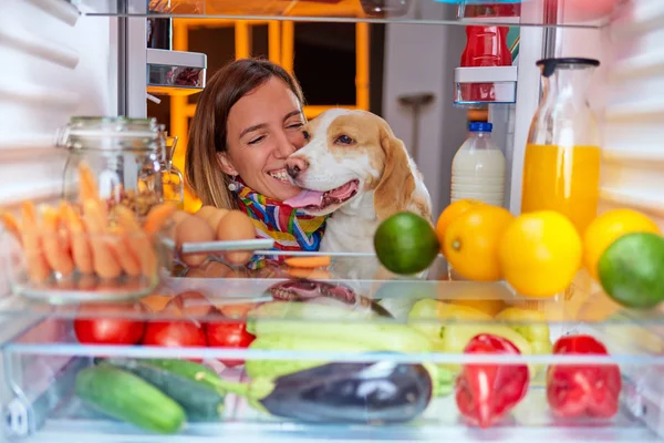 Femme et son chien devant le frigo tard dans la nuit. Photo prise de l'intérieur de la frégate . — Photo