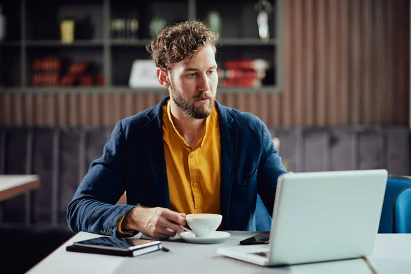Jonge serieuze blanke zakenman gekleed slimme casual drinken koffie in cafe en op zoek naar laptop. — Stockfoto