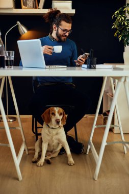 Genç ve çekici sakallı hippi ofisinde oturmuş, kahve içiyor ve akıllı telefon kullanıyor..
