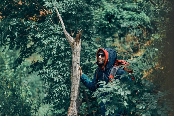 Νεαρός Ελκυστικός Γενειοφόρος Άνδρας Στέκεται Στο Δάσος Και Εξερευνήσετε Την — Φωτογραφία Αρχείου