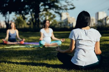 Dışarıda yoga yapan iki hamile kadın..