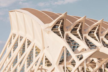 Valencia, İspanya; 6 Haziran 2020: Valencia 'da sanat ve bilim şehri. Güzel mimari, şehir manzarası