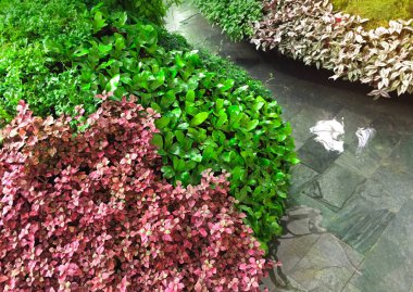 Bahar zamanı renkli yapraklı parklar ve doğa kanalın yanında açık hava ve arka planda doğal bahçe için huzurlu bir yer..