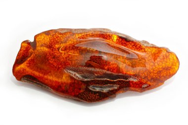 İçinde desenler ve eklentiler olan saydam çok renkli kehribar. Cilalı ses. Mücevherler için doğal mineral. Güneş taşı. Kazıyorum. Yarı değerli taş. Antik Taşlaşmış Reçine. Aynasız. Kehribar Sonuçları. Reçinedeki böcekler. Larvalar. Böcekler.